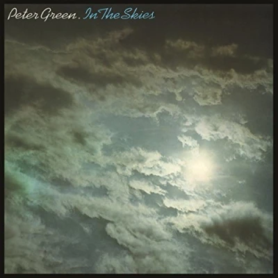 Abbildung von In the Skies [Vinyl LP]