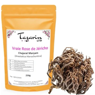 Abbildung von 250g Rose von Jericho Chajarat Mariam Pflanze, die Fruchtbarkeit Fördert Ungefähr 25 Stück Anastatica Hierochuntica 100% Natürlich, Rein und Ohne Zusatzstoffe Premium Qualität