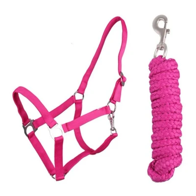 Abbildung von ARBO INOX Halfter Set Beginner + Führstrick mit Karabinerhaken verstellbar (Full Warmblut, Fuchsia)