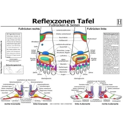 Abbildung von Fussreflexzonen Tafel Fussrücken &amp; Seiten A3 (laminiert)