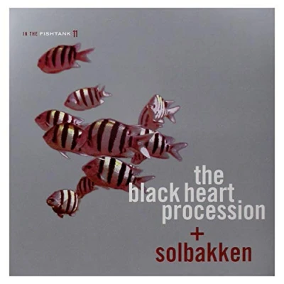 Abbildung von In the Fishtank 11 [Vinyl LP]