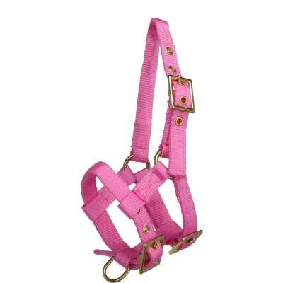 Abbildung von Norton Halfter Mini Verstellbar Rosa Fohlen