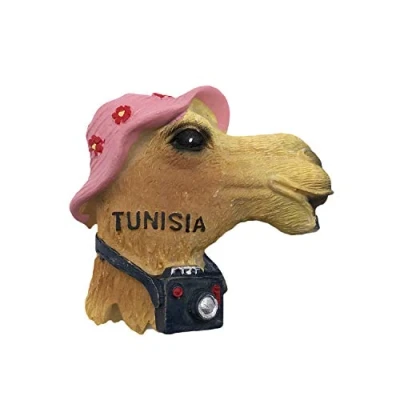 Abbildung von Tunesien Afrika 3D Kühlschrankmagnet Touristische Souvenirs Harz Magnetische Aufkleber Home &amp; Kitchen Dekoration aus China