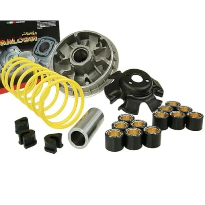 Abbildung von MALOSSI Multivar 2000 Variomatik für Kymco MXU 250 (R/S), 300 (R/Wide), Maxxer