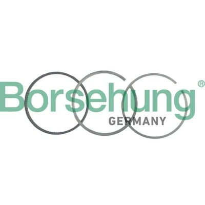Abbildung von Borsehung B19048 Kolbenringsatz VOLKSWAGEN: Passat CC, Phaeton, Touareg I, AUDI: Q7, SKODA: Superb II Kombi