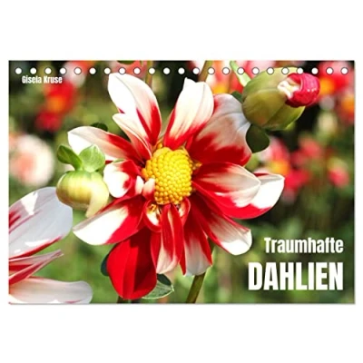 Abbildung von Traumhafte Dahlien (Tischkalender 2025 DIN A5 quer), CALVENDO Monatskalender