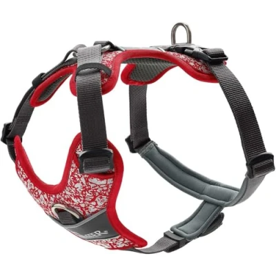 Abbildung von Geschirr Divo Reflect L XL, rot/grau XL Rot / Grau