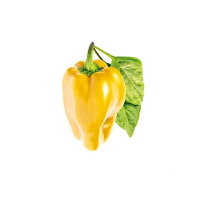 Abbildung von Click &amp; Grow 4742793008950, Essbare Pflanze, Gelbe Paprika, Starter Set, 3 Stück(e), Box