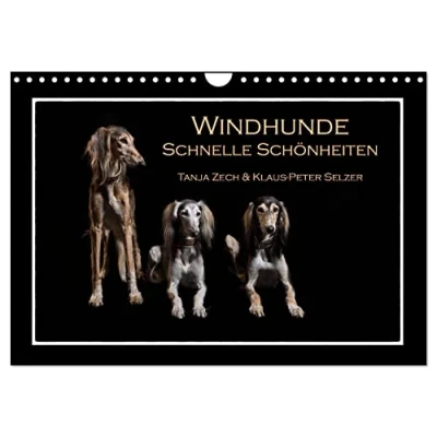 Abbildung von Windhunde Schnelle Schönheiten (Wandkalender 2025 DIN A4 quer), CALVENDO Monatskalender