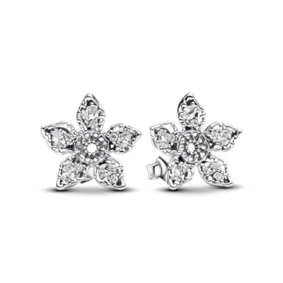 Abbildung von Pandora Damen Ohrringe Silber 293573C01