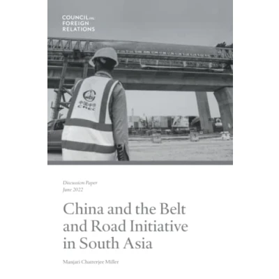 Abbildung von China and the Belt Road Initiative in South Asia