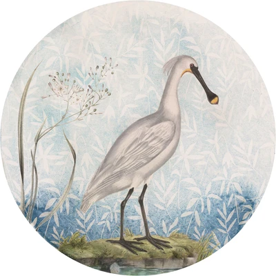 Abbildung von Komar Fototapete &quot;Spoonbill&quot;, 125x125 cm (Breite x Höhe), rund und selbstklebend