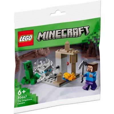 Abbildung von LEGO® Konstruktions Spielset LEGO 30647 Minecraft Die Tropfsteinhöhle (Recruitment Bag)