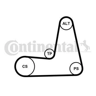 Abbildung von CONTITECH 5PK1110K1 Keilrippenriemensatz RENAULT: CLIO 2, LAGUNA Megane Scenic, DACIA: Sandero I, Dokker Express, Logan I MCV