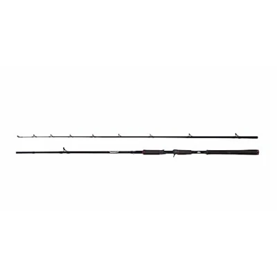 Abbildung von Abu Garcia Beast Pike Baitcaster 2,54m Rute (40 140g)