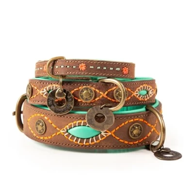 Abbildung von Dwam Halsband Joplin Braun&amp;Trkis&amp;Orange Hundehalsband 29 39 x ...