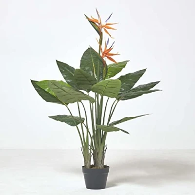 Abbildung von HOMESCAPES künstliche Strelitzie, Paradiesvogelblume im Topf, tropische Kunstpflanze für den Indoor Bereich, Pflanze, Papageienblume, 120 cm