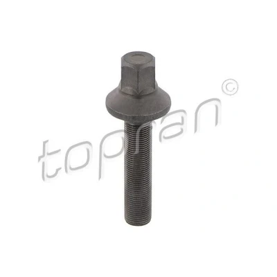 Abbildung von TOPRAN 503 130 Riemenscheibenschraube BMW: 3 Cabrio, Limousine, Touring