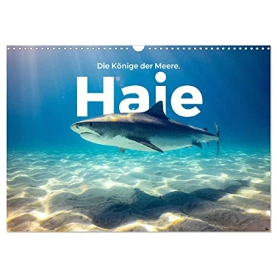 Abbildung von Haie Könige der Meere. (Wandkalender 2025 DIN A3 quer), CALVENDO Monatskalender