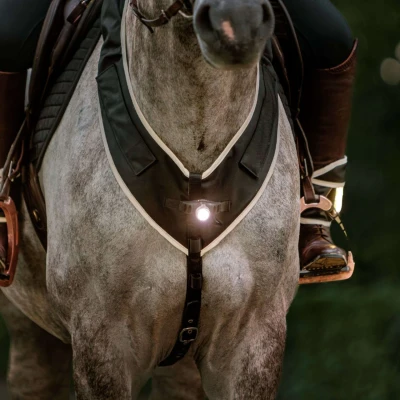 Abbildung von Kavalkade Vorderzeug Horselight FrontlampeVerkauft von HypoStore