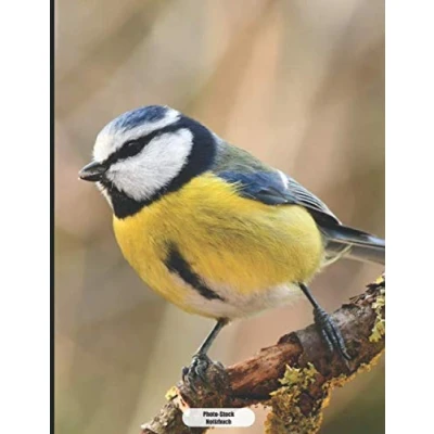 Abbildung von Photo Stock Notizbuch: Blaumeise Notizbuch 150 Seiten kariert A4 Format mattes Softcover