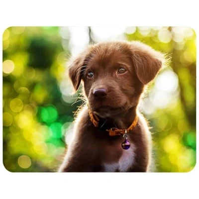 Abbildung von Silent Monsters Mauspad 240 x 200 mm Stoff Mousepad Welpe Hund rutschfest für Gaming Büro Office Homeoffice 24 20 cm Mouse Pad Mat Mausunterlage klein alle Maus Arten