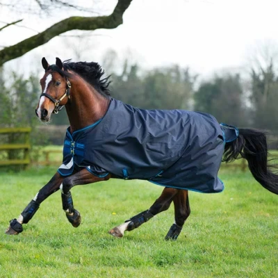 Abbildung von Amigo by Horseware Bravo 12 Turnout 100g Navy Türkis 140/191