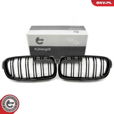 Abbildung von ESEN SKV 66SKV123 Kühlergrill schwarz, glänzend BMW: 3 Limousine, Touring