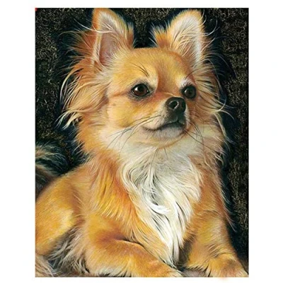Abbildung von DIY 5D Diamant Painting Bilder Voll kit Chihuahua Hund 30x40cm/12*16in Kreuzstich Malen nach Zahlen Erwachsene/Kind Stickerei Kristall Strass Art Craft Diamond home wall decor
