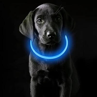 Abbildung von Coolzon LED Leuchthalsband Hundehalsband Aufladbar, Wasserdicht Halsband Hund 3 Modi, Leuchtband Längenverstellbareres Super Helle Kalsband Katze und Hunde Klein Groß Mittel, Blau