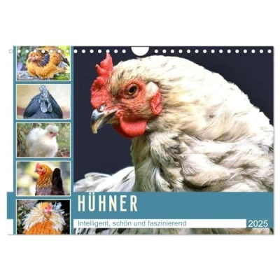 Abbildung von Hühner. Intelligent, schön und faszinierend (Wandkalender 2025 DIN A4 quer), CALVENDO Monatskalender