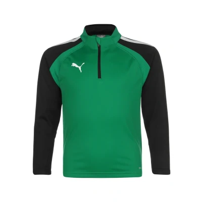 Abbildung von puma Teamliga Langarmshirt für Kinder, Größe: 116, Pepper green black