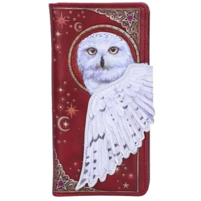 Abbildung von Nemesis Now Magical Flight Geldbörse, geprägt, 18,5 cm, Rot