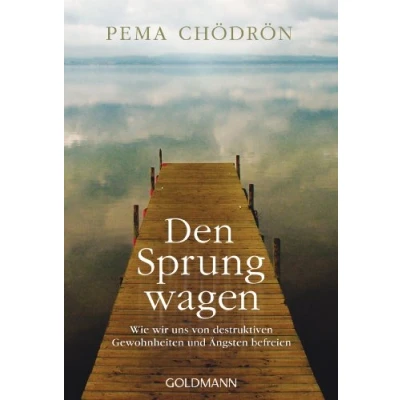 Abbildung von Den Sprung wagen: Wie wir uns von destruktiven Gewohnheiten und Ängsten befreien