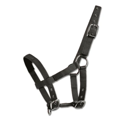 Abbildung von Waldhausen Mini Shetty Halfter One Size Schwarz