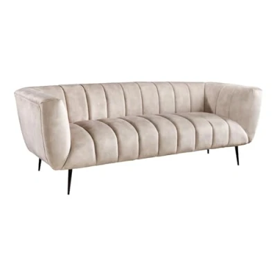 Abbildung von riess ambiente Sofa NOBLESSE 225cm champagner / schwarz, Einzelartikel 1 Teile, Wohnzimmer · Samt Metall 3 Sitzer Federkern Retro Design