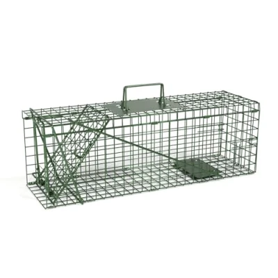 Abbildung von QianRuiDa Lebendfalle Mausefalle 61 x 19 20 cm Kastenfalle Lebendfallen Mäuse Rattenfalle Waschbär Stabile Drahtfalle