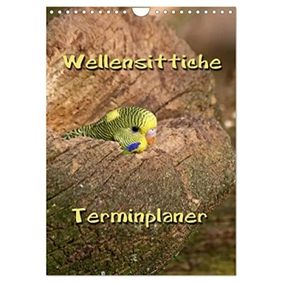 Abbildung von Wellensittiche Terminplaner (Wandkalender 2025 DIN A4 hoch), CALVENDO Monatskalender