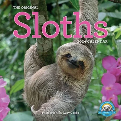 Abbildung von Original Sloths Wall Calendar 2024: The Ultimate Experts at Slowing Down