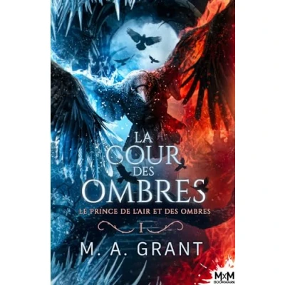 Abbildung von Le prince de l&#039;Air et des Ombres: La Cour Ombres, T1