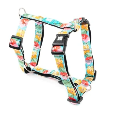 Abbildung von Max &amp; Molly H Geschirr Exotique, M