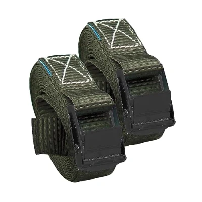 Abbildung von TRUTZHOLM Spanngurt 2x Profi Gurt Zurrgurt Klemmschloss Auto 1 tlg 2,5m 250 kg (Set, St) reißfest