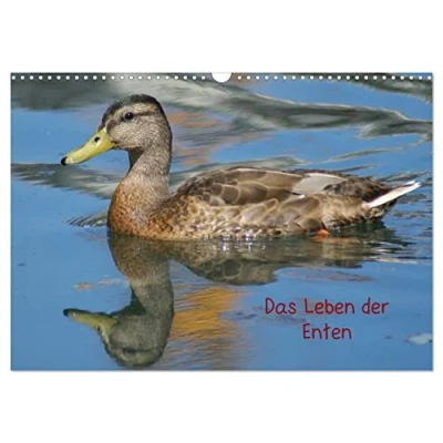 Abbildung von Das Leben der Enten (Wandkalender 2025 DIN A3 quer), CALVENDO Monatskalender