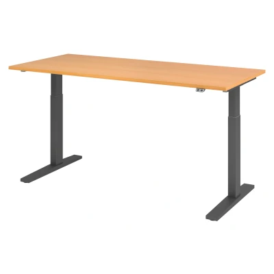 Abbildung von Hammerbacher Schreibtisch XMKA19 Buche/Graphit