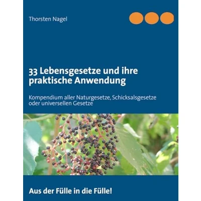 Abbildung von 33 Lebensgesetze und ihre praktische Anwendung: Kompendium aller Naturgesetze, Schicksalsgesetze oder universellen Gesetze