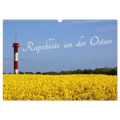 Abbildung von Rapsblüte an der Ostsee (Wandkalender 2025 DIN A3 quer), CALVENDO Monatskalender
