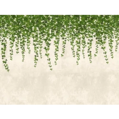 Abbildung von living walls Fototapete &quot;The Wall&quot;, botanisch natürlich matt, Modern Tapete Blätter Grün Grau