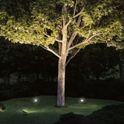 Abbildung von Paulmann LED Gartenstrahler &quot;Flood&quot;, 1 flammig, Leuchtmittel Modul fest integriert,