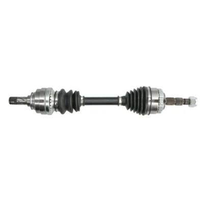Abbildung von Antriebswelle PASCAL G2X011PC