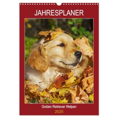 Abbildung von Jahresplaner Golden Retriever Welpen (Wandkalender 2025 DIN A3 hoch), CALVENDO Monatskalender